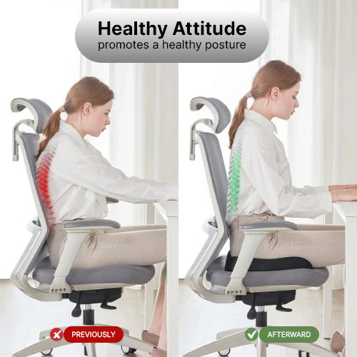 Support for Healthy Posture While Sitting – SeatComfort